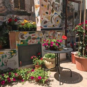 un grupo de macetas y flores en una acera en In City-In, en Catania