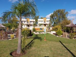 a palm tree in a yard with a building in the background at Terra y Rio in Gualeguaychú