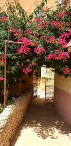 Zahrada ubytování B&b Seaview terrace