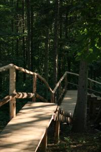 un puente de madera en medio de un bosque en Baumhaus Silent 