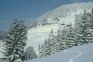 Pension Oberhof om vinteren