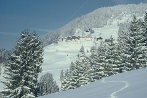 Gallery image of Pension Oberhof in Sankt Lorenzen im Lesachtal