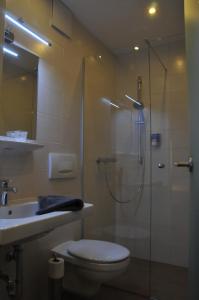 ein Bad mit einer Dusche, einem WC und einem Waschbecken in der Unterkunft Hotel Krmstl "Zur Stadt Gmunden" in Kirchdorf an der Krems