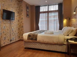 TV a/nebo společenská místnost v ubytování Nirvana Inn