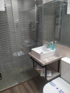 a bathroom with a sink and a shower at Posada Rural SPA Granja LA TEJERA de Lozoya in Gargantilla del Lozoya