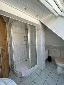 Hotel & Restaurant Sichelschmiede في فريبورغ ام بريسغاو: حمام مع دش ومرحاض