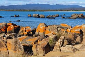 CHILL في Port Sorell: مجموعة كبيرة من الصخور في الماء