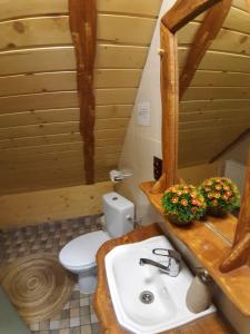 a bathroom with a white toilet and a sink at Căsuța din Povești - Vatra in Vatra Dornei