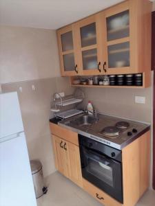a small kitchen with a stove and a sink at Zaovinska Panorama I in Bajina Bašta