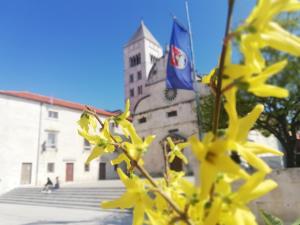 Fotografia z galérie ubytovania Apartman Pegla v destinácii Zadar