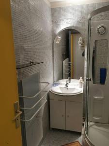 La salle de bains est pourvue d'un lavabo, d'un miroir et d'une douche. dans l'établissement La Foux d'Allos - Studio 4 couchages, très proche centre station, à La Foux