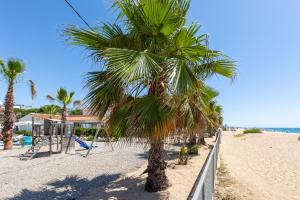 una palmera en una playa de arena junto al océano en Malgrat de Mar Beachfront Village, en Malgrat de Mar