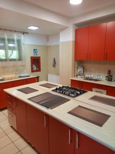 a kitchen with red cabinets and a stove top oven at Pensiunea Mario in Moieciu de Sus