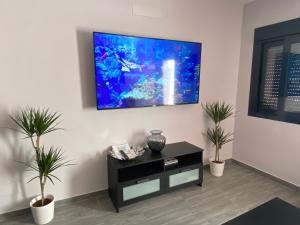 a living room with two potted plants and a television on the wall at Apartamento Jazmín in Ardales