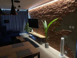 Televízia a/alebo spoločenská miestnosť v ubytovaní LOFT PEARL Basen Taras Apartament