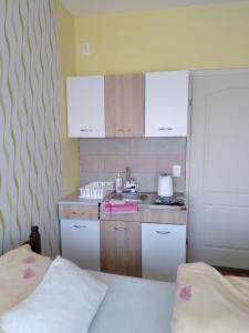 Kuchyň nebo kuchyňský kout v ubytování Apartman 2 szemèlynek