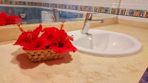 科拉雷侯的住宿－Tamarindo 41, big pool,next to the dunes.，浴室的盥洗盆,篮子里装有红色的鲜花