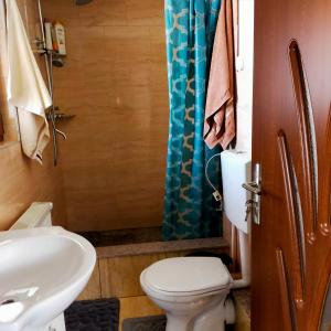 a bathroom with a toilet and a sink at Casa Luna in Gura Humorului
