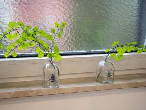zwei Glasvasen auf einer Fensterscheibe mit Pflanzen in der Unterkunft JUNIK Apartments Oberhausen in Oberhausen