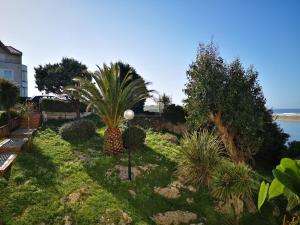 Fotografie z fotogalerie ubytování Apartamento Mogrosol v destinaci Miengo