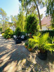 a patio with a bunch of plants in a yard at Dom Gościnny Kinga in Pobierowo