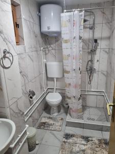 La salle de bains est pourvue de toilettes et d'un rideau de douche. dans l'établissement Apartman „Škobić”, à Višegrad