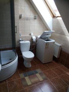 ジェシュフにあるHostel Wiarusのバスルーム(トイレ、洗面台、シャワー付)