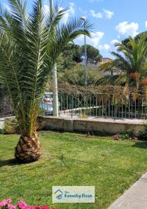 a palm tree in the middle of a lawn at The Family Nest - Casa Eva in Manfredonia