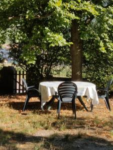une table avec deux chaises et un arbre dans l'établissement Rendez-vous sous le tilleul, en Cevennes., à Molières-Cavaillac