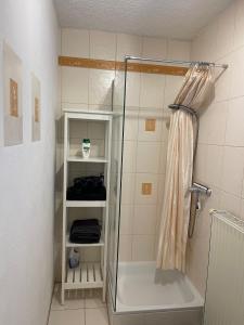 y baño con ducha y puerta de cristal. en Ferienwohnung Taubertalliebelei, en Großrinderfeld