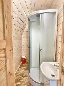 a bathroom with a shower and a sink at Palūšės Kempingas (nameliai) in Palūšė