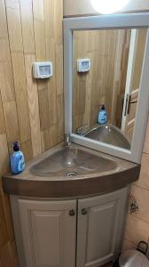La salle de bains est pourvue d'un lavabo et d'un miroir. dans l'établissement Casa de vacanta TARA, à Eşelniţa