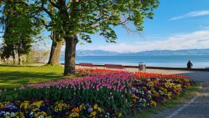 a park with a bunch of flowers and benches at MF Manuele Ficano - Ferienwohnungen am Bodensee - Fewo Luna in Kressbronn am Bodensee