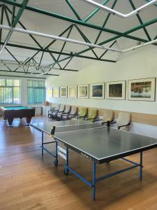 Stolní tenis v ubytování Damroka nebo okolí