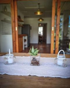 a table with two candles and a plant in a vase at Riverdene Farm Lodge in Nieu-Bethesda