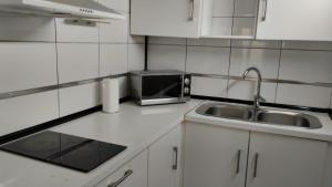 una pequeña cocina con fregadero y microondas en Studios Solmayor, en Madrid
