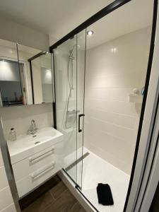 La salle de bains est pourvue d'une douche en verre et d'un lavabo. dans l'établissement Chez Naomi - Studio Mirjam, à Châtel