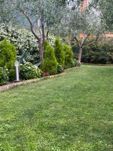einen Garten mit grünem Gras, Bäumen und Sträuchern in der Unterkunft Casa 32 in Nago-Torbole