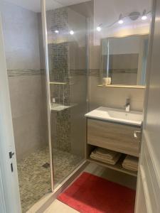 bagno con doccia in vetro e lavandino di Appartement Domaine du soleil couchant a Saintes-Maries-de-la-Mer