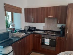a kitchen with wooden cabinets and a stove top oven at The Calf Suite in Aberystwyth