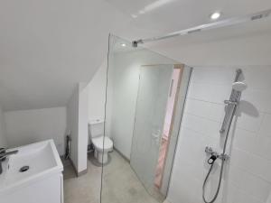 biała łazienka z prysznicem i toaletą w obiekcie Studio neuf à Barcelonnette w mieście Barcelonnette