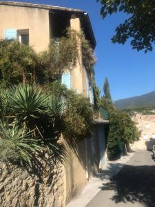 um edifício com plantas ao lado de uma rua em Au petit bonheur em Bédoin