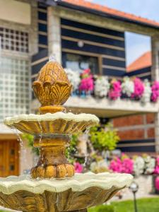 een fontein voor een huis met bloemen bij Vila Petunija in Sjenica