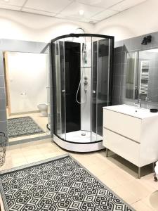 een badkamer met een douche en een wastafel bij Le Moulin in Mesland