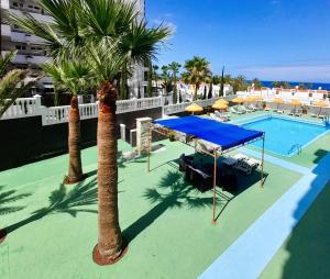 een zwembad met palmbomen en een blauwe baldakijn bij COZY STUDIO, WIFI FREE POOL VIEW in Playa de las Americas