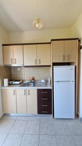 A kitchen or kitchenette at Studios Achileus 2