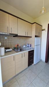 A kitchen or kitchenette at Studios Achileus 2