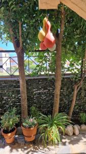 A garden outside Studios Achileus 2