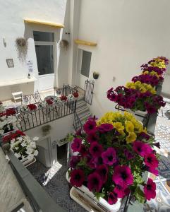 un montón de flores sentadas en un balcón en Donna Grazia Relais, en Gallipoli