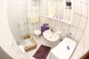 Kúpeľňa v ubytovaní Holiday house Poljana